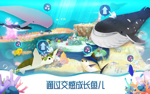 蓝鲸日记放置水族馆