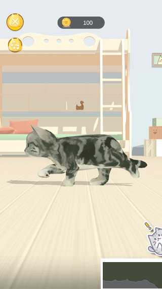 呼噜猫舍