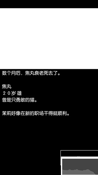 回梦之旅