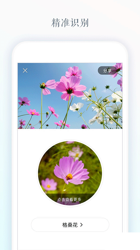 识花app