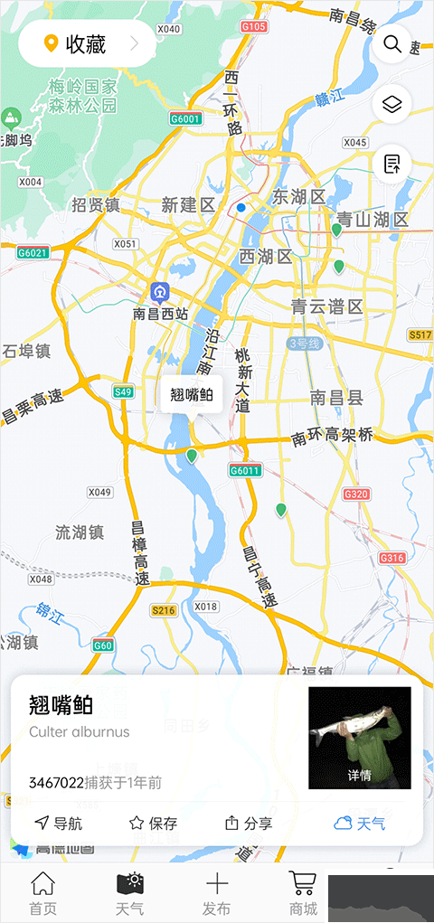 渔获app