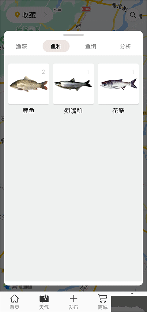 渔获app
