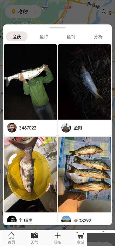 渔获app