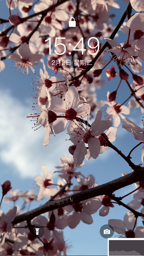 主题库app